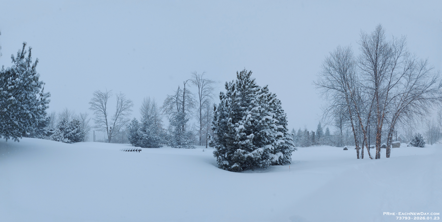 73793Pa - Snowfall in Clayt French Park